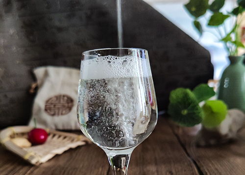 通脹壓力下龍頭白酒韌性凸顯，行業(yè)震蕩中探尋新突破，其他酒類市場機(jī)遇何在？